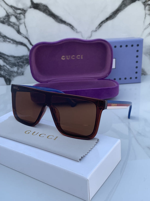 Gucc_i_1105_brown_blue